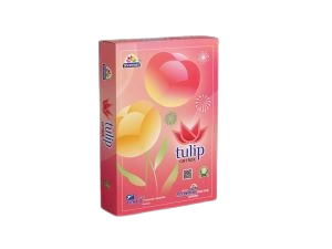Tulip ( 35 Items )